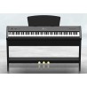 EXTREME P50 PIANOFORTE DIGITALE 88 TASTI PESATI STAGE PIANO STAND IN LEGNO GRUPPO 3 PEDALI PLAYER MP3 USB