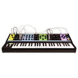 MOOG MATRIARCH SINTETIZZATORE PARAFONICO ANALOGICO A 4 VOCI