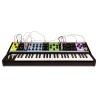 MOOG MATRIARCH SINTETIZZATORE PARAFONICO ANALOGICO A 4 VOCI