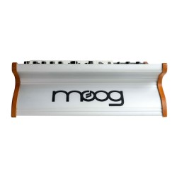 MOOG SUBSEQUENT 25 SINTETIZZATORE ANALOGICO PARAFONICO 25 TASTI