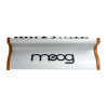 MOOG SUBSEQUENT 25 SINTETIZZATORE ANALOGICO PARAFONICO 25 TASTI
