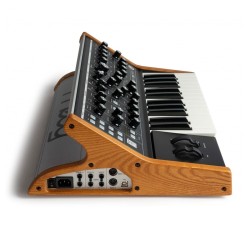 MOOG SUBSEQUENT 25 SINTETIZZATORE ANALOGICO PARAFONICO 25 TASTI