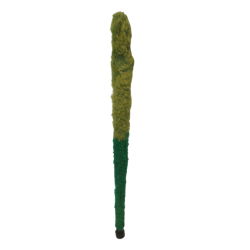 EXTREME SCR-A SCOVOLINO PER SAX ALTO