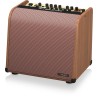 TC HELICON HARMONY V60 AMPLIFICATORE PER CHITARRA ACUSTICA 2 CANALI 60 WATT CON PROCESSORE VOCALE ED EFFETTI