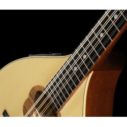 HORA MANDOLA CONTRALTO IRLANDESE RGII-P MADE IN EUROPE ( MANDOLINO ) FISHMAN PRESYS 101 TOP ABETE MASSELLO FONDO ACERO MASSELLO 