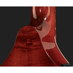 HORA MANDOLA CONTRALTO IRLANDESE RGII-P MADE IN EUROPE ( MANDOLINO ) FISHMAN PRESYS 101 TOP ABETE MASSELLO FONDO ACERO MASSELLO 