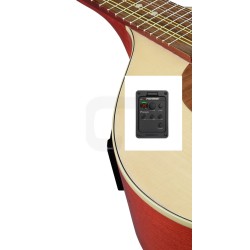 HORA MANDOLINO PORTOGHESE 2-PF MADE IN EUROPE IN MASSELLO FISHMAN PRESYS 101 TOP ABETE E ACERO FONDO FASCE MANICO SCALA 332mm