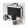 BEHRINGER B2-PRO MICROFONO STUDIO CONDENSATORE CARDIOIDE OMNIDIREZIONALE FIGURA 8 + CUSTODIA + SOSPENSIONE + ACCESSORI