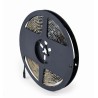 GEMBIRD LED-S-RGB500-01 STRISCIA LED RGB IP65 5 METRI + TELECOMANDO DI CONTROLLO