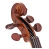 STENTOR VIOLINO STUDENT 1 4/4 TOP TAVOLA ARMONICA ABETE MASSELLO FONDO/FASCE ACERO MASSELLO + CUSTODIA + ARCHETTO