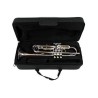 LUKE & DANIEL TR6418S TROMBA IN SIB CON FINITURA LACCATA ARGENTATA + CUSTODIA