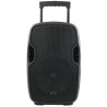 GEMINI AS-10 TOGO CASSA ATTIVA 2 VIE BLUETOOTH WOOFER 10" 1000 W CON MICROFONO E LETTORE USB