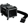 ALGAM LIGHTING NEBEL 3000 MACCHINA DEL FUMO BASSO 3000W DMX CON TELECOMANDO