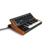 MOOG SUBSEQUENT 25 SINTETIZZATORE ANALOGICO PARAFONICO 25 TASTI