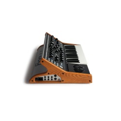 MOOG SUBSEQUENT 25 SINTETIZZATORE ANALOGICO PARAFONICO 25 TASTI