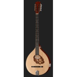 HORA BOUZOUKI IRLANDESE AMPLIFICATO FISHMAN PRESYS-101 66CM TOP ABETE MASSELLO FONDO FASCE E MANICO ACERO CON BORSA