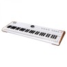 ARTURIA ASTROLAB SINTETIZZATORE TASTIERA 61 TASTI STAGE PIANO DA PALCO E PRODUZIONE MUSICALE