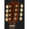 HORA BOUZOUKI CONCERT IRLANDESE CON BORSA TOP ABETE MASSELLO FONDO FASCE ACERO MASSELLO BINDING ROSETTA INTARSIATI MANICO ACERO 