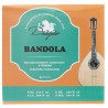 DRAGAO D018 MUTA DI 8 CORDE PER MANDOLA BANDOLA