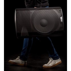 ALTO TX315 CASSA ATTIVA 15" 700WATT DI PICCO 350WATT CONTINUI EX-DEMO