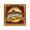 ERNIE BALL EARTHWOOD 2012 12 STRING MEDIUM MUTA PER CHITARRA ACUSTICA 12 CORDE