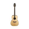 TAKAMINE GY93ENAT CHITARRA ACUSTICA