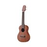 TAKAMINE GUS1 CHITARRA ACUSTICA