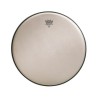 REMO RA0012SS AMBASSADOR RENAISSANCE 12"