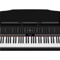 ROLAND HP605 PE  POLISHED BLACK PIANOFORTE DIGITALE VERTICALE 88 TASTI NERO LUCIDO
