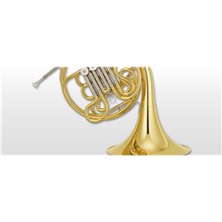 YAMAHA YHR-671 CORNO FRANCESE DOPPIO F/Bb IN OTTONE GIALLO DORATO