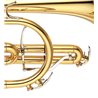 YAMAHA YCR-8335 02 CORNETTA IN SIB LACCATO TRASPARENTE IN OTTONE DORATO + BOCCAGLIO E CUSTODIA