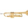 YAMAHA YTR5335GII TROMBA IN SI B LACCATA ORO CUSTODIA INCLUSA