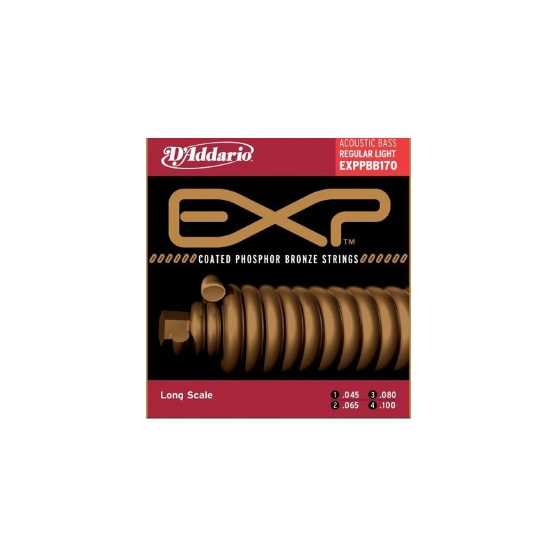 D'ADDARIO EXPPBB170 BASSO ACUSTICO 045-100
