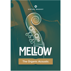 UJAM VB MELLOW PLUG-IN VIRTUAL INSTRUMENTS PER CREARE TRACCE DI CONTRABBASSO