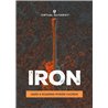 UJAM VG IRON PLUG-IN VIRTUAL INSTRUMENTS PER CREARE TRACCE DI CHITARRA ELETTRICA ROCK