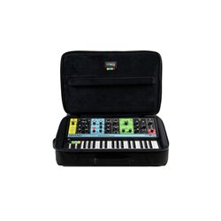 MOOG MUSIC IND. GRANDMOTHER SR CASE