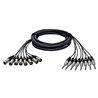 ALVA T8X8PRO2 MULTI-CORE CAVO BREAKOUT 8 JACK TRS M - 8 XLR MASCHI 2 METRI