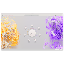ARTURIA V COLLECTION 9 CODICE