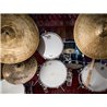 EARTHWORKS DM20