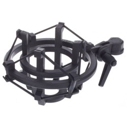 RODE NT2000 MICROFONO A CONDENSATORE DIAFRAMMA LARGO MULTI POLARE