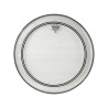 REMO P322BB PINSTRIPE TRASPARENTE 22"