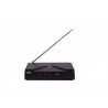 PROEL WM101M RADIOMICROFONO MANO UHF