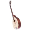 BOUZOUKI IRLANDESE MADE IN EUROPE 66CM TOP TAVOLA ABETE MASSELLO FONDO FASCE MANICO ACERO ROSETTA FLOWER