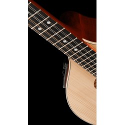 HORA BOUZOUKI IRLANDESE FLOWER AMPLIFICATO FISHMAN PRESYS-101 66CM TOP ABETE MASSELLO FONDO FASCE E MANICO ACERO