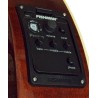 HORA MANDOLINO PORTOGHESE 1-PF MADE IN EUROPE IN MASSELLO FISHMAN PRESYS 101 TOP ABETE E ACERO FONDO FASCE MANICO SCALA 332mm