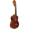 WASHBURN UK20E UKULELE 16 TASTI PROFESSIONALE ELETTRIFICATO DIMENSIONE CONCERTO IN MOGANO E PALISSANDRO