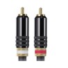 PIONEER DAS RCA 020R CAVO RCA L+R DA 2 METRI  2 RCA MASCHI + 2 RCA MASCHIO