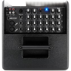 ACUS SOUND ONE FORSTRINGS 6T AMPLIFICATORE PER CHITARRA ACUSTICA BIAMPLIFICATO 6" + TWEETER 130 WATT 2 MICROFONICI + 1 LINEA COL