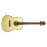 ZIRCON ZA-8N CHITARRA ACUSTICA 4/4 41" TOP IN ABETE SOLIDO MANICO IN MOGANO TASTIERA E PONTE IN PALISSANDRO MECCANICHE DIE-CAST 