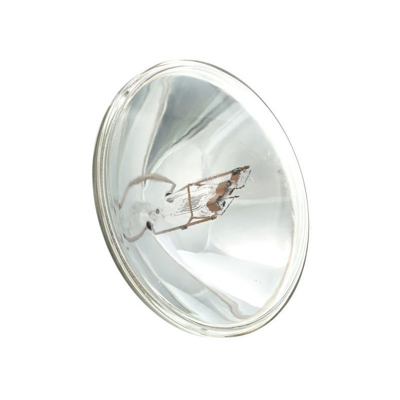 GENERAL ELECTRIC CP60 LAMPADA PER PAR-64 DA 1000 WATT VNSP